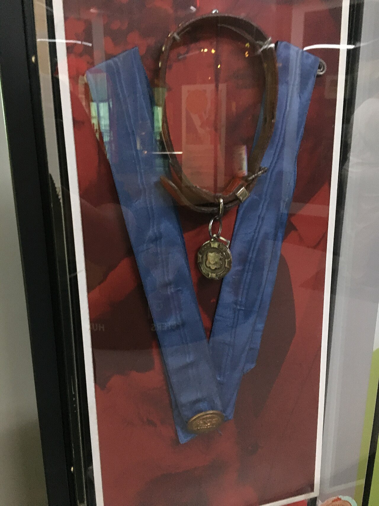 La vitrina dedicada a Pickles en el National Football Museum.